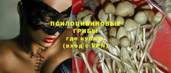 ешки Верея