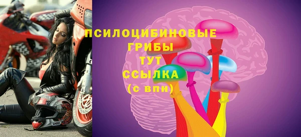 круглые Вяземский