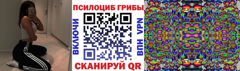 Псилоцибиновые грибы Cubensis  купить  цена  Голицыно 